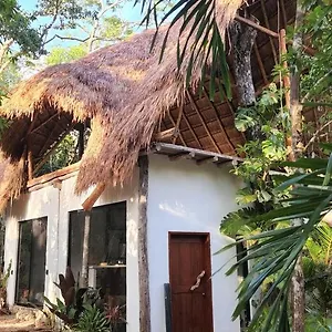 Selva Roca Tulum
